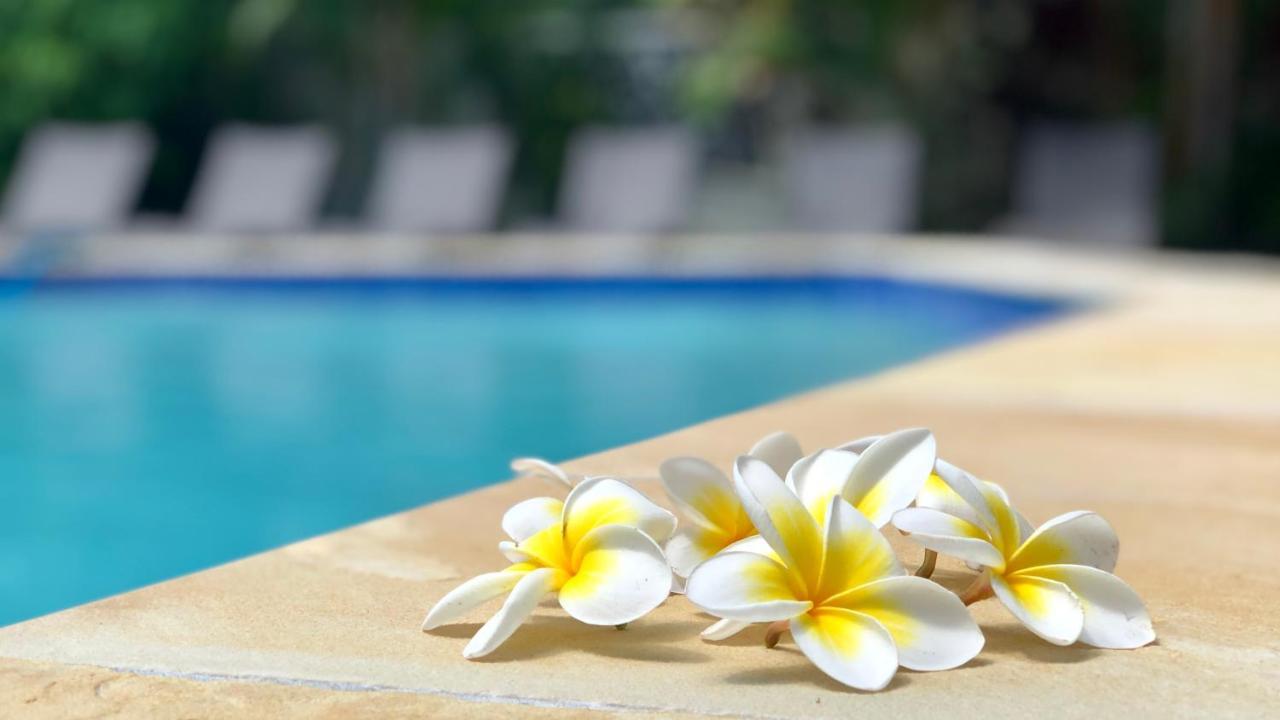 Hi Ho Beach Apartments On Broadbeach Gold Coast Eksteriør billede